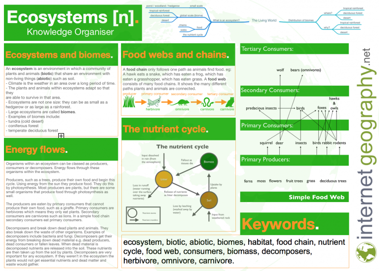 ecosystem-knowledge-organiser-internet-geography