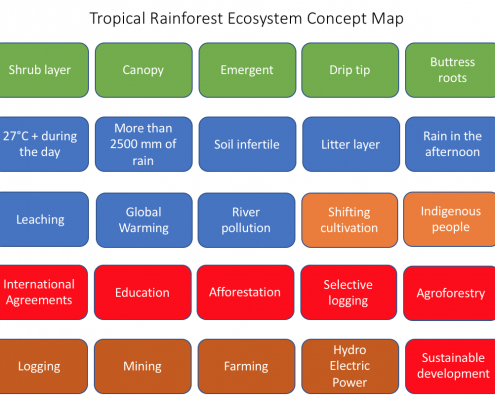 Tropical Rainforest Concept Map Key Words