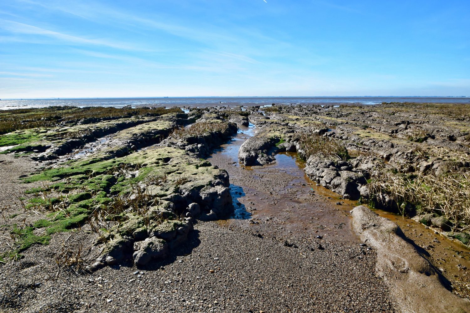 Landforms in the lower course of a river - Internet Geography