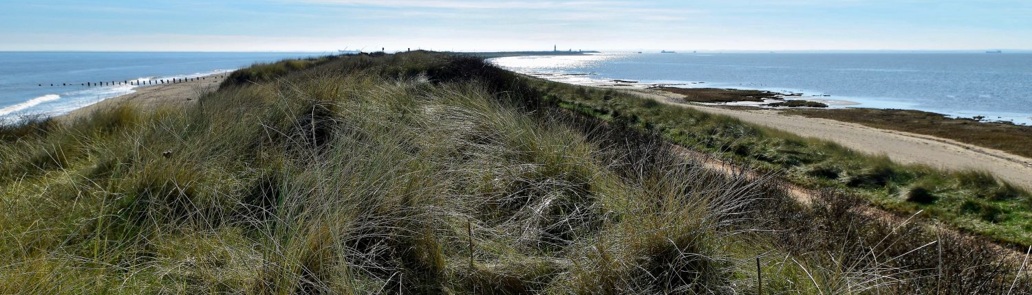 Spurn Point