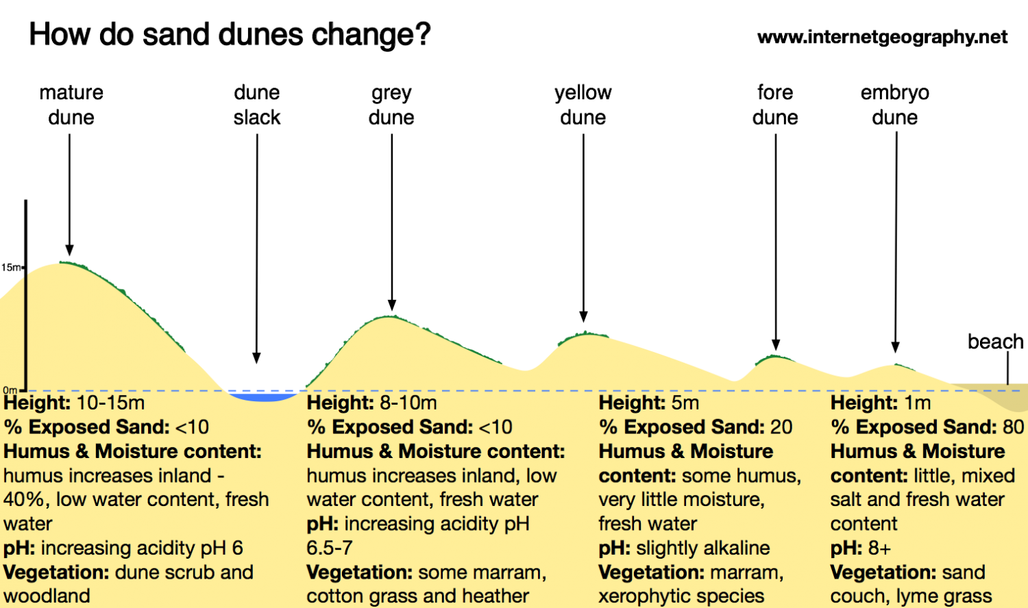 How are sand dunes formed? - Internet Geography