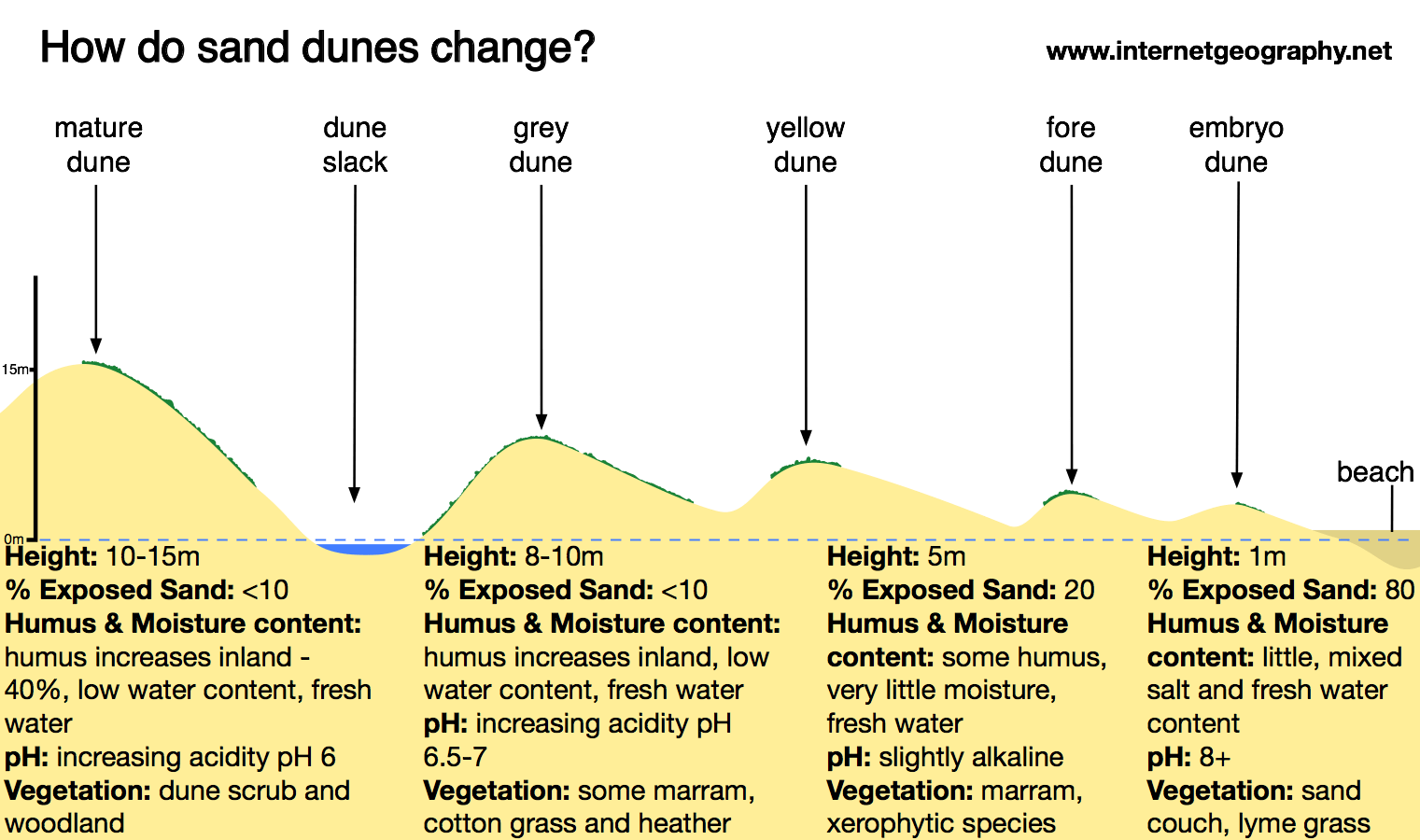 Sand dune, Definition, Formation, & Facts
