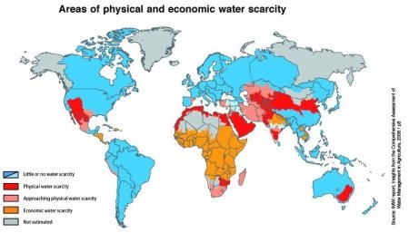 An overview of global inequalities in the supply and consumption of ...