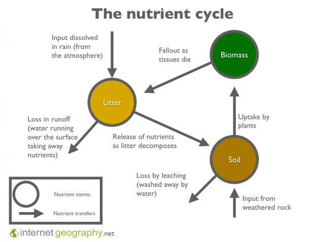 Recycling Geography Definition