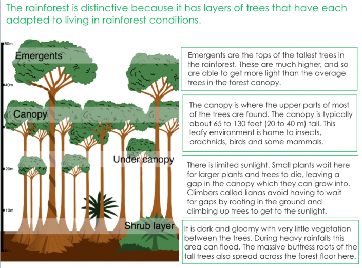 Ecosystems The Living World AQA Geography Lesson 4 - Characteristics Of ...