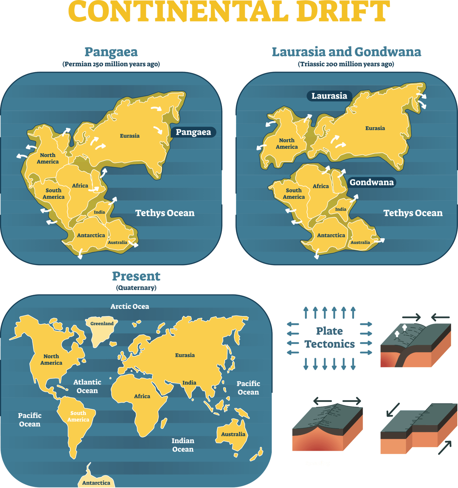 Puzzle Jigsaw Puzzle Continental Drift