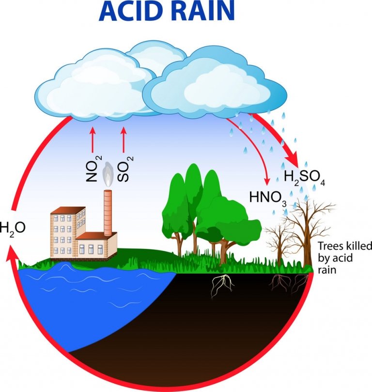 What is Acid Rain? Geography