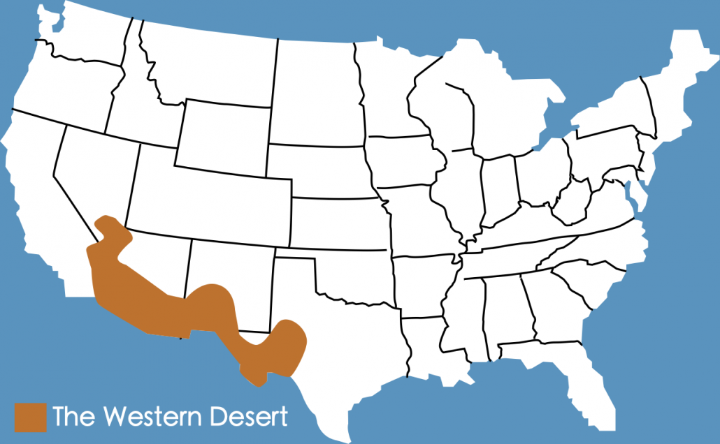 A map to show the location of the Western Desert