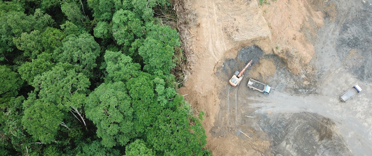 the deforestation of the amazon case study answers