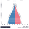 Population Pyramids - Internet Geography