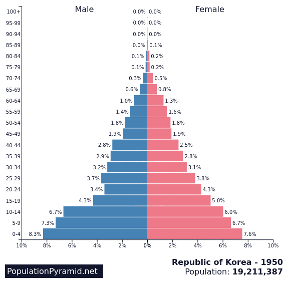 South Korea Population Pyramid Animated Gif 