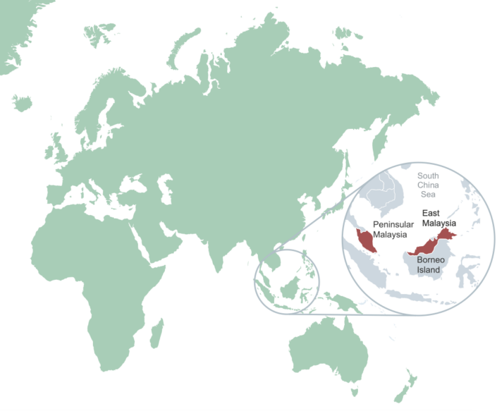 Causes of rainforest deforestation in Malaysia - Internet Geography