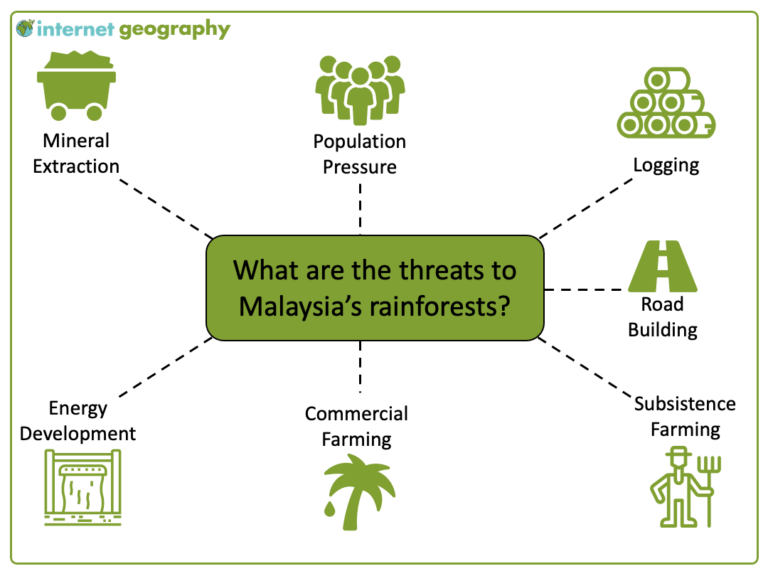 deforestation case study in malaysia