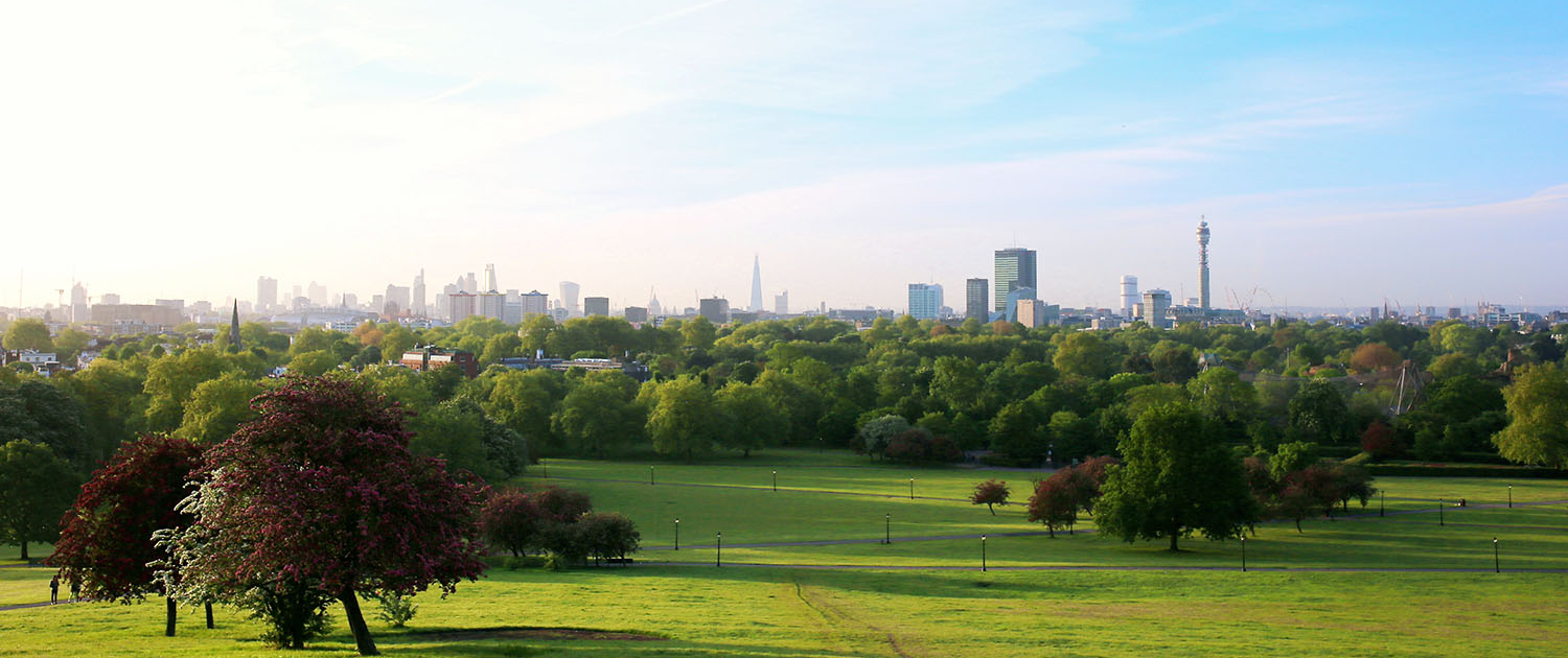 The London cityscape seen from Primrose Hill in St. Regents park