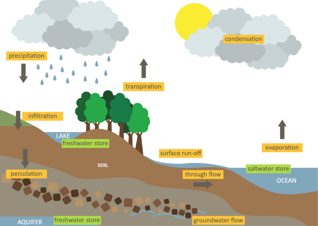 The Hydrological Cycle - Internet Geography