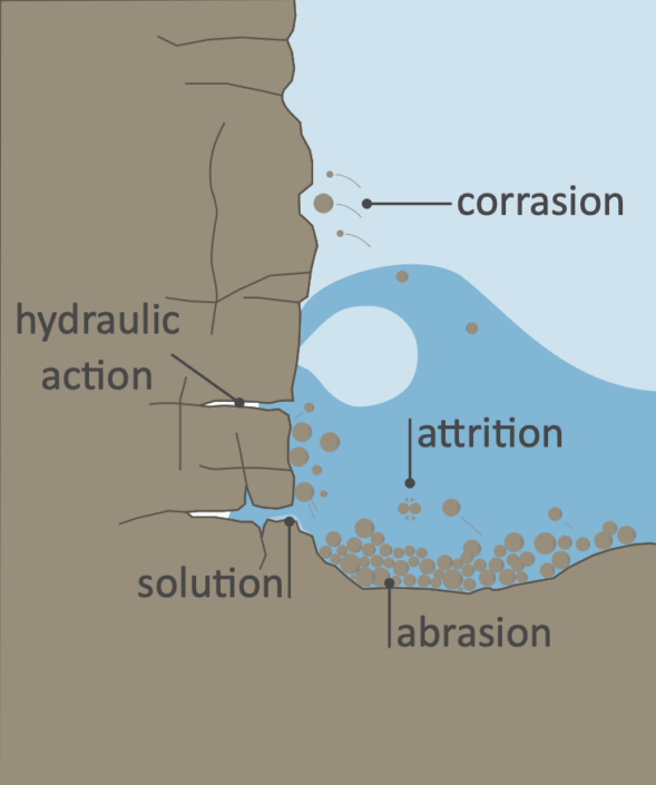 Physical Processes in Coastal Areas - Internet Geography