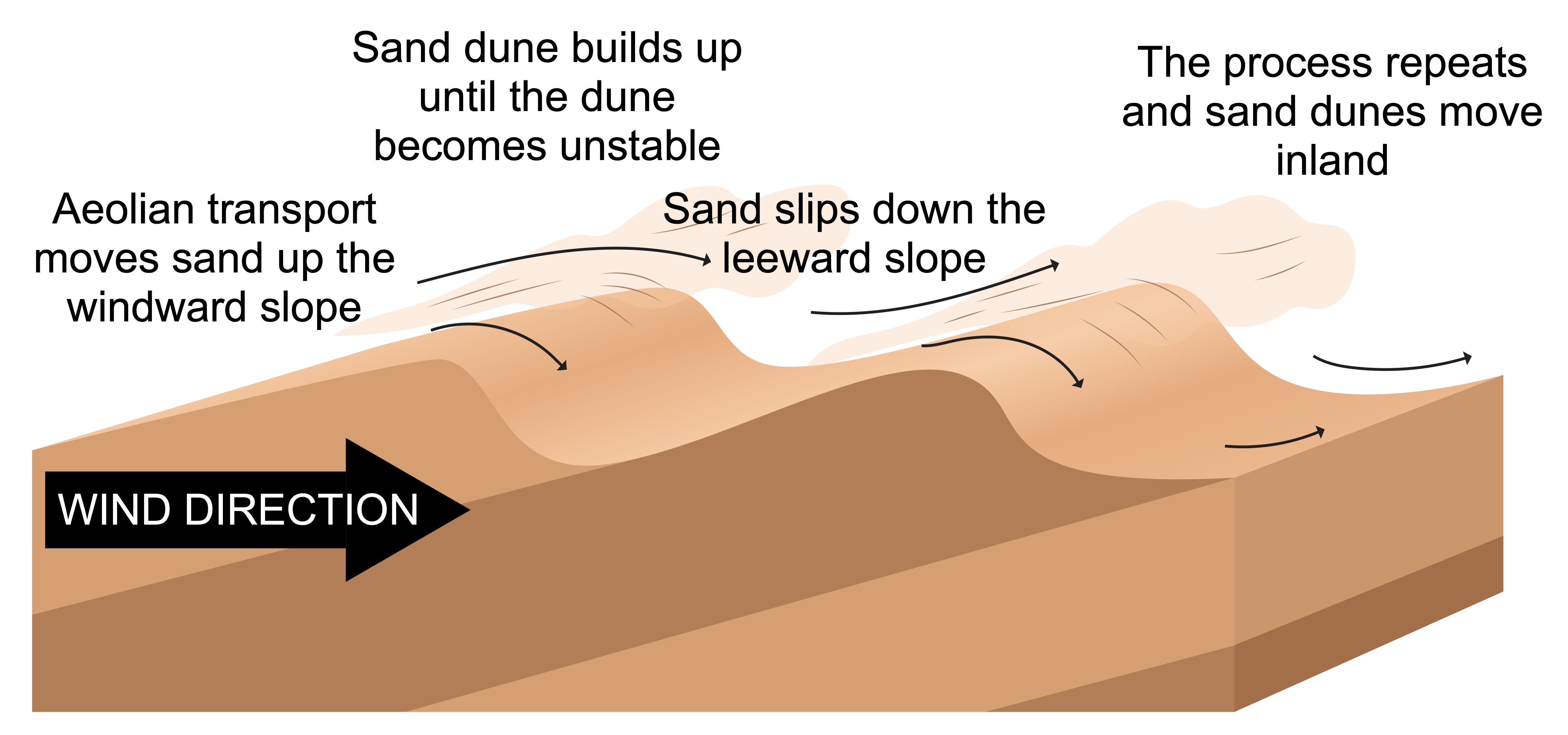 How are sand dunes formed?