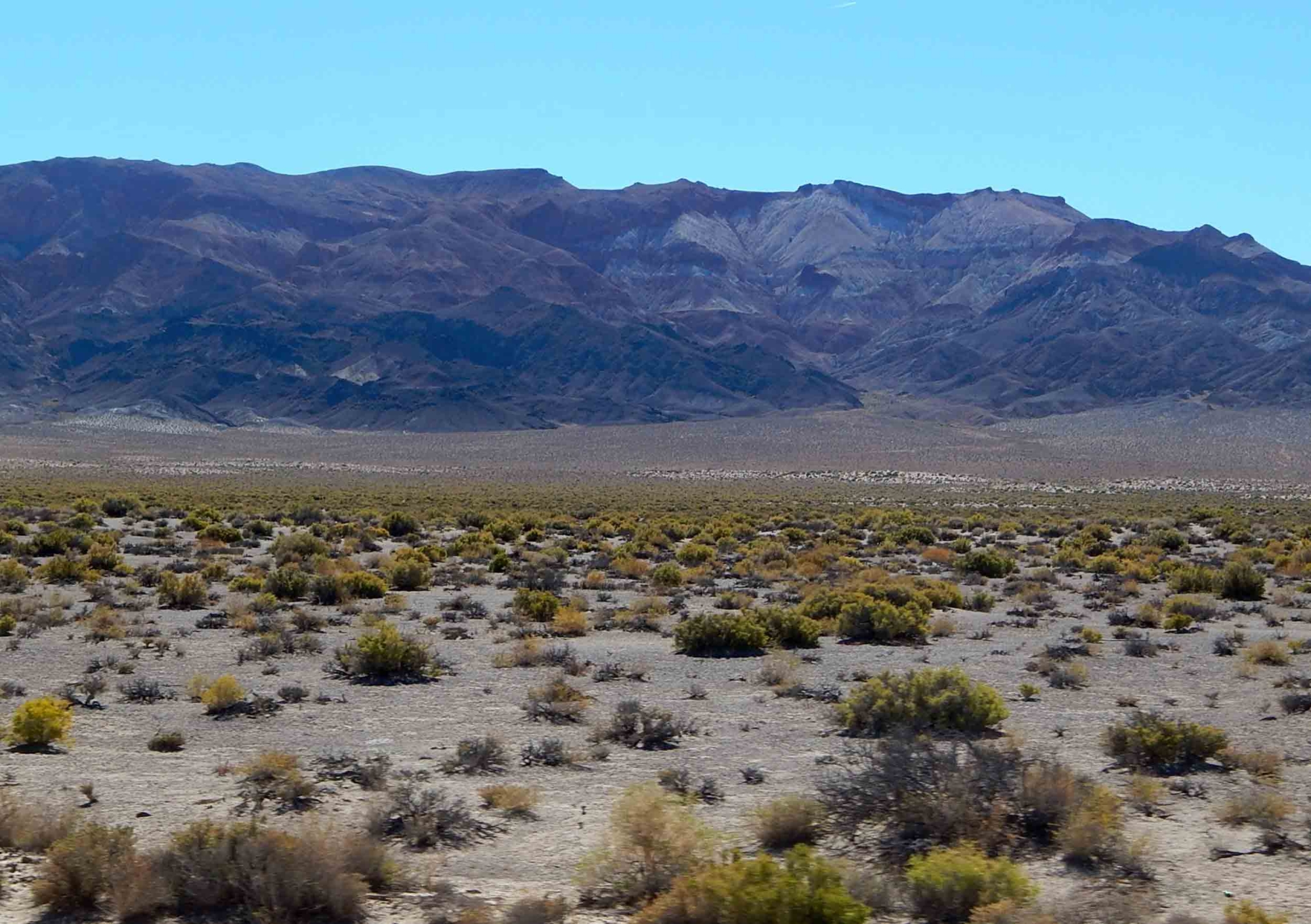 How Has Hot Desert Vegetation Adapted To The Climate? - Internet Geography